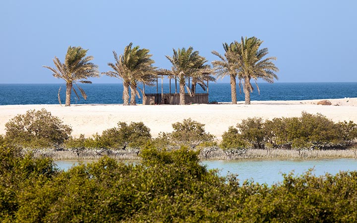 Sir Bani Yas ( Emirati Arabi)